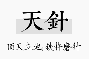 天针名字的寓意及含义