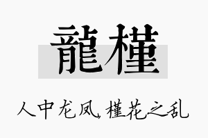 龙槿名字的寓意及含义