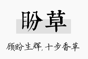 盼草名字的寓意及含义