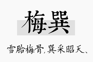 梅巽名字的寓意及含义