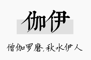 伽伊名字的寓意及含义