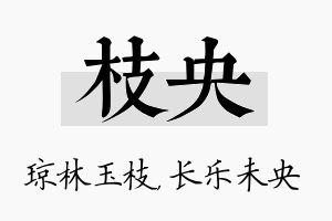 枝央名字的寓意及含义