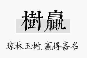 树赢名字的寓意及含义