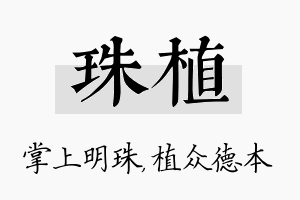 珠植名字的寓意及含义