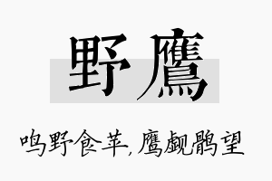 野鹰名字的寓意及含义