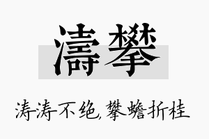 涛攀名字的寓意及含义