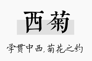 西菊名字的寓意及含义