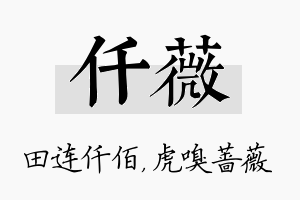 仟薇名字的寓意及含义