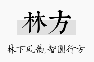 林方名字的寓意及含义