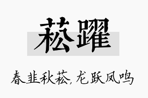 菘跃名字的寓意及含义