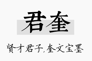 君奎名字的寓意及含义