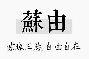 苏由名字的寓意及含义