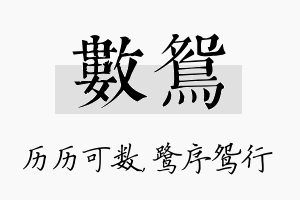 数鸳名字的寓意及含义