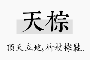 天棕名字的寓意及含义