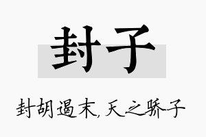 封子名字的寓意及含义