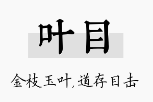 叶目名字的寓意及含义