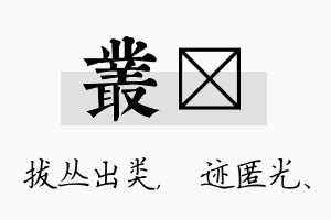 丛弢名字的寓意及含义