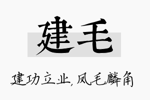 建毛名字的寓意及含义