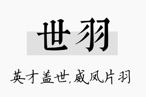 世羽名字的寓意及含义