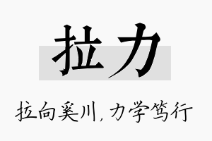 拉力名字的寓意及含义