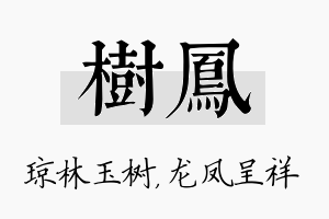 树凤名字的寓意及含义