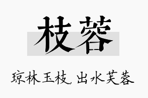 枝蓉名字的寓意及含义