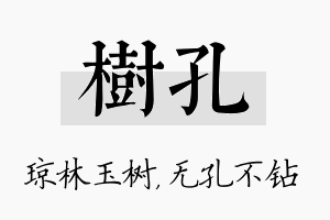 树孔名字的寓意及含义