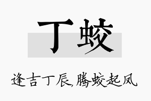 丁蛟名字的寓意及含义