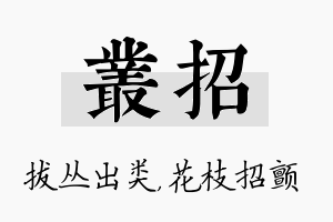 丛招名字的寓意及含义