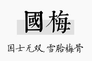 国梅名字的寓意及含义