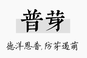 普芽名字的寓意及含义