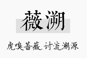 薇溯名字的寓意及含义