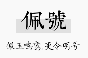 佩号名字的寓意及含义