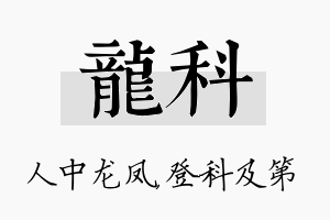 龙科名字的寓意及含义