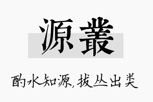 源丛名字的寓意及含义