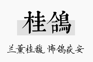 桂鸽名字的寓意及含义