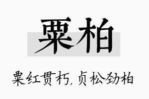 粟柏名字的寓意及含义