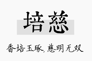 培慈名字的寓意及含义