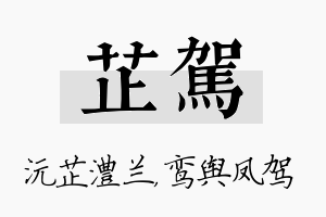 芷驾名字的寓意及含义