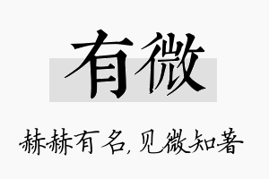 有微名字的寓意及含义