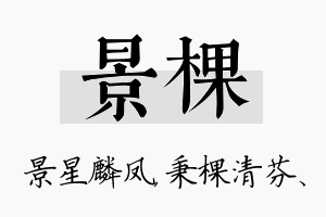 景棵名字的寓意及含义