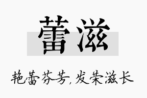 蕾滋名字的寓意及含义