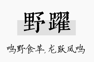 野跃名字的寓意及含义