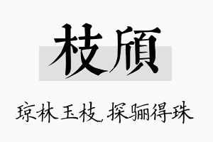 枝颀名字的寓意及含义