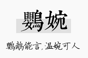 鹦婉名字的寓意及含义