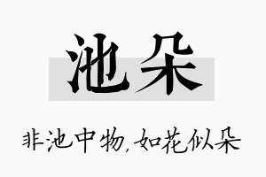 池朵名字的寓意及含义