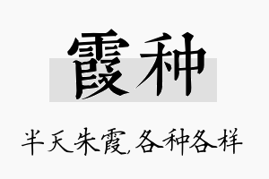 霞种名字的寓意及含义