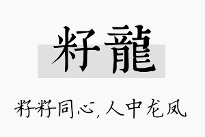 籽龙名字的寓意及含义