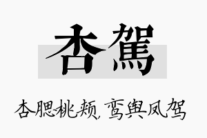 杏驾名字的寓意及含义