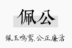 佩公名字的寓意及含义